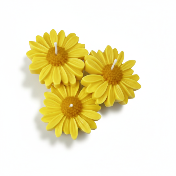 Daisy Candle 600 By Secret Ember Daisy Candle (Pack of 3)